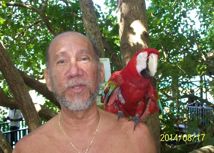 Bed and breakfast Wataview Montego Bay
